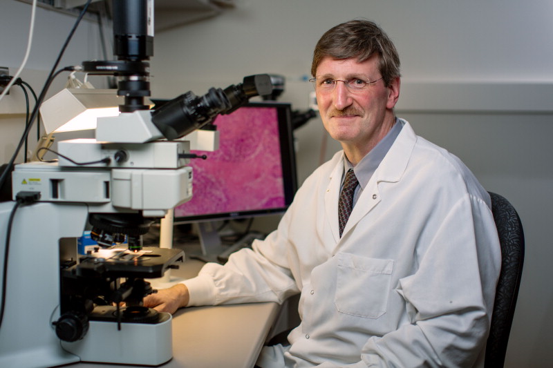Outstanding Investigator Award for Breast Cancer Research