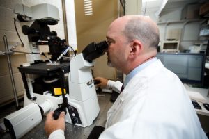 Ophthalmic landscape changed for hard-to-grow retinal cells when Mayo Clinic’s Alan Marmorstein, Ph.D. created the spinoff company LAgen Laboratories.