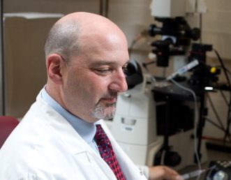 Alan Marmorstein, Ph.D., created Mayo Clinic spinoff LAgen to manufacture retinal pigmented epithelium cells
