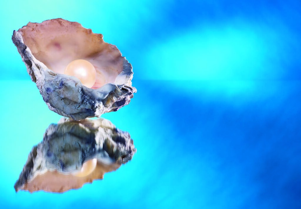 Illustrated image of an oyster shell with a pearl inside.